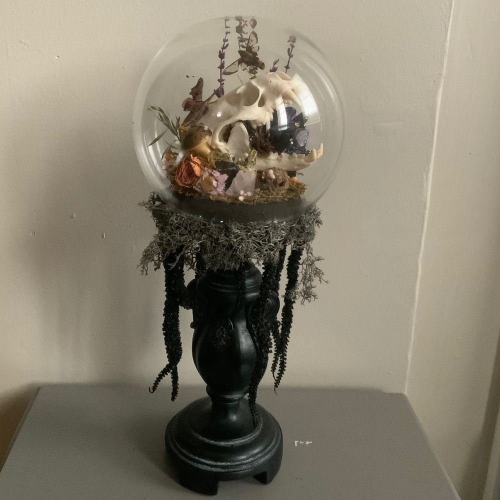 Custom hand crafted real skull, crystal,floral and butterfly globe